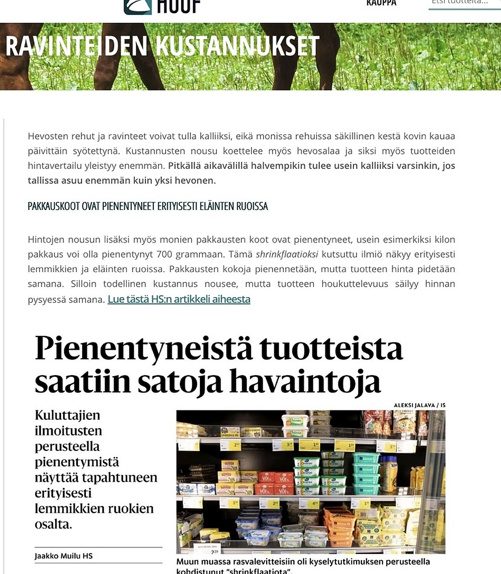 Digitaalinen sisältö — SEO-ravintoartikkeli