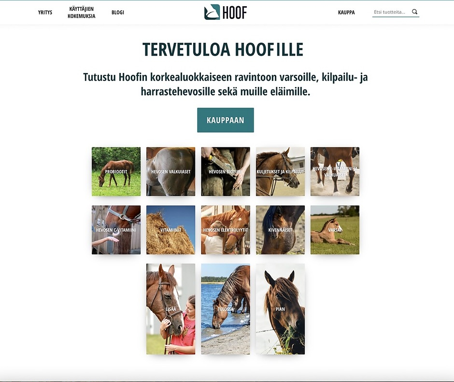 Verkkokaupan etusivu ja tuoteryhmät — B2C-myynti